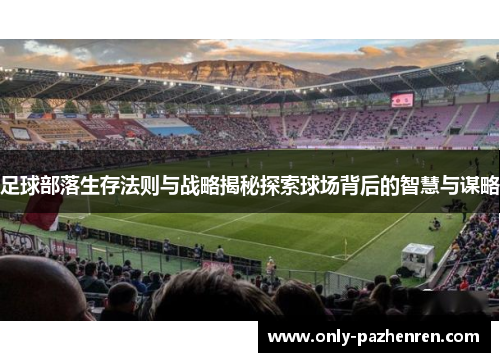 足球部落生存法则与战略揭秘探索球场背后的智慧与谋略