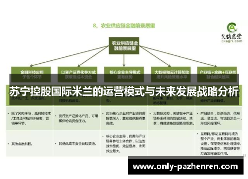 苏宁控股国际米兰的运营模式与未来发展战略分析