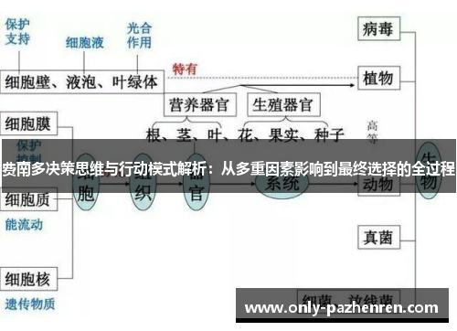 费南多决策思维与行动模式解析:从多重因素影响到最终选择的全过程 费南多决策思维与行动模式解析:从多重因素影响到最终选择的全过程