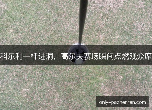 科尔利一杆进洞，高尔夫赛场瞬间点燃观众席